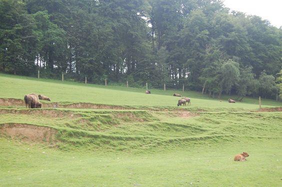 DSC_0083 [50%] [50%].JPG